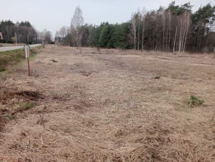 Sprzedam działkę budowlaną 15 ar