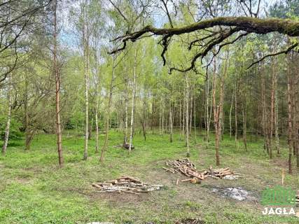 Atrakcyjne działki nad stawem w Debrznie MPZP