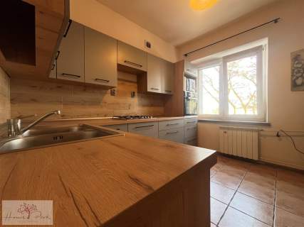 Mieszkanie 54m2 1 piętro - centrum Pabianic