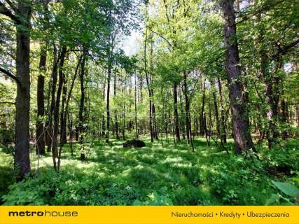 Działki budowlane w Nieborowicach 