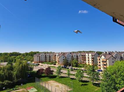 ŚWIEŻO PO REMONCIE-UMEBLOWANE-MED.MIEJSKIE-BALKON.