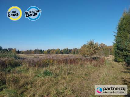 Działka 1,5ha pod zabudowę jednorodzinną - Pomlewo