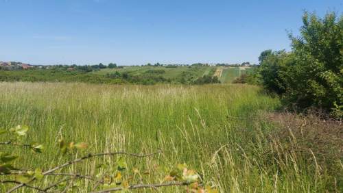 Działka budowlana na sprzedaż, 900 m2, Sadowie