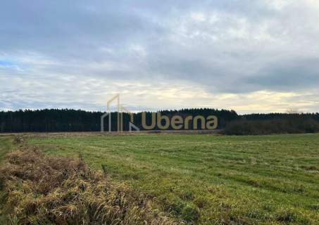Działka rolna Gm.Goleniów na sprzedaż