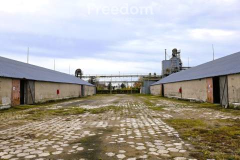 Baza magazynowa, silosy, wagi - Barciany