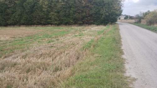 Działka siedliskowa na sprzedaż, 10200 m2, Trębaczów