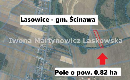 Działki rolne, Lasowice Gmina Ścinawa