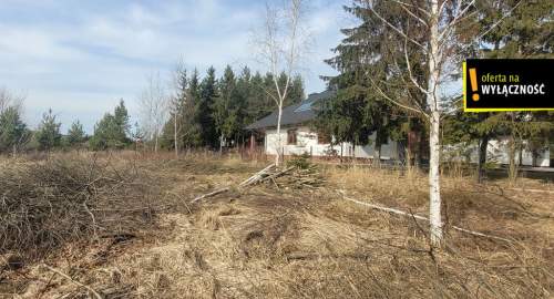 Samsonów   duża działka 0,5 ha, media w drodze