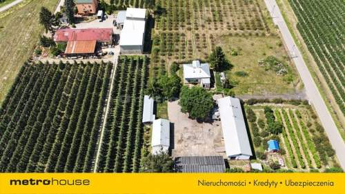 Dom przy trasie S7 na działce 16 348m2