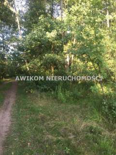 Malownicza działka w leśnej okolicy Warszawy