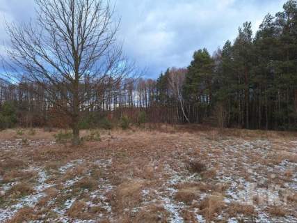 Działka na sprzedaż, 47000 m2, Gurba