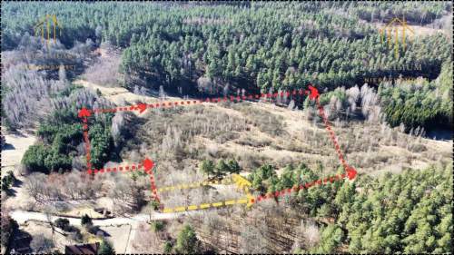 Działka 2,43 ha   widok na las, 300 m od Jeziora 