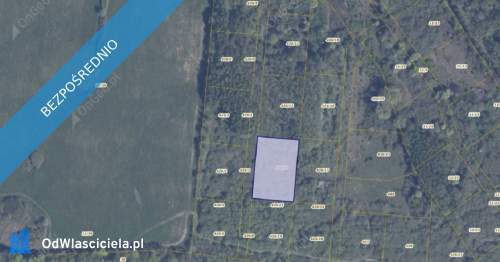 Działka 426/14 w miejscowości Pręgowo Górne