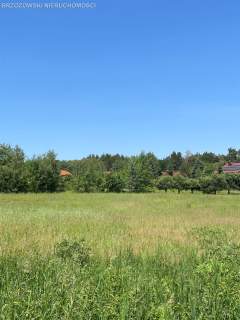 Białołęka, 900 m2, mieszkaniowa wolnostojący