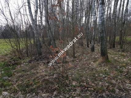 Borszyce gm.Kowiesy działka 7 283 m