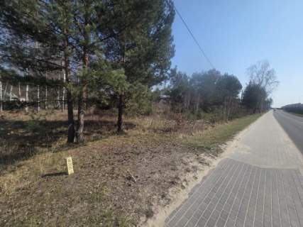 Usługowa, blisko Szosy Lubelskiej, MPZP, drzewa