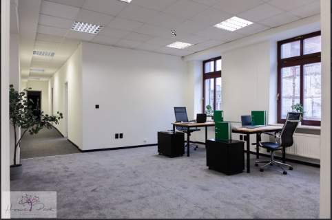 Lokal 205m2, przy ul. Piotrkowskiej-deptak