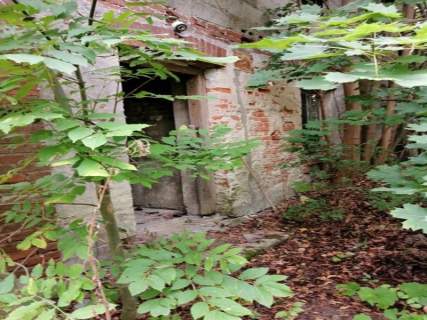 Syndyk sprzeda udział 1/6 w działkach Jędrzejów Nowy