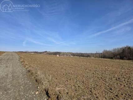 UROKLIWA DZIALKA 1,10 HA W JODŁOWEJ - OTOCZONA NATURĄ, Z P