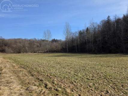 UROKLIWA DZIALKA 1,10 HA W JODŁOWEJ - OTOCZONA NATURĄ, Z P