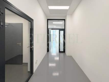 Wyjątkowy lokal użytkowy 284m2 z tarasem 200m2