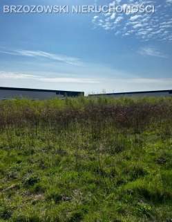 Duchnów, 5,5 ha, MPZP, usługi, magazyny