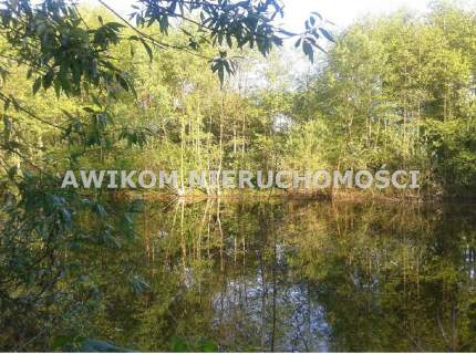 Działka budowlana na sprzedaż, 33000 m2, Pęcice