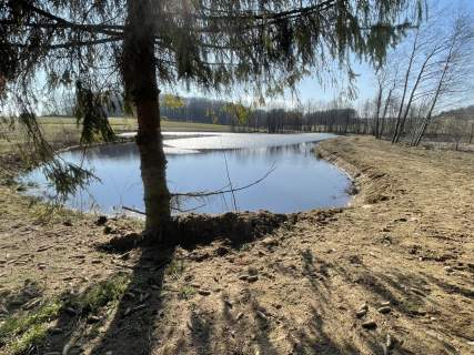 1,56 ha DZIAŁKA BUDOWLANA ZE STAWEM 0,40 ha