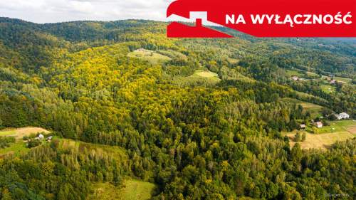 Działka rolno-leśna w Jodłówce Tuchowskiej