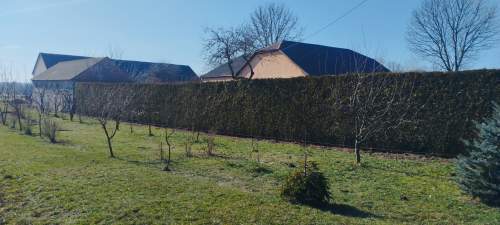 Siedlisko 2,25 ha dom 148 m garaż światłowód asfalt