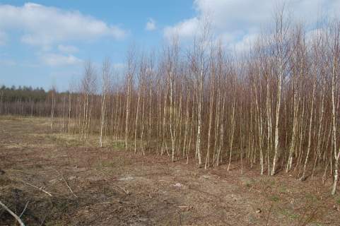 Działki budowlane Nekla 1000 m2 i 1535 m2.