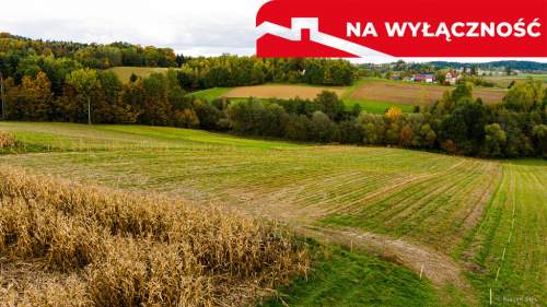 Działka Lichwinie. Rolno-leśna,   Nowa Cena   