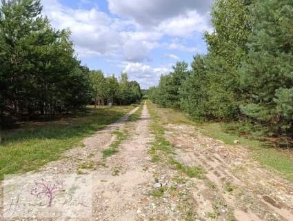 Działka budowla 1044m2 Ludowinka