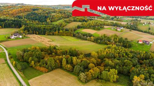 Działka Lichwinie. Rolno-leśna,   Nowa Cena   
