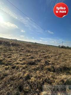 Działka budowlana na sprzedaż, 1600 m2, Kościuszki