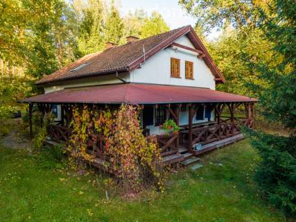 Leśne siedlisko 6,28 ha dom gościnny
