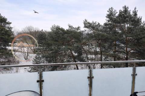 Nowoczesne 2-pokojowe Leśne 38 m Parking