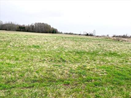 Działka o dużej powierzchni 21 600 m2.