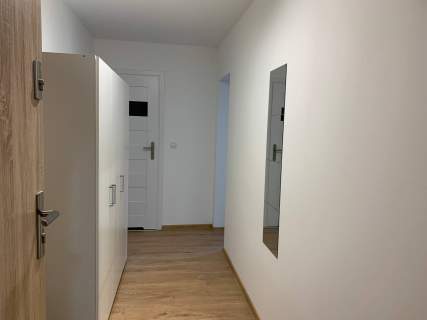 Kawalerka w samym centrum Łodzi