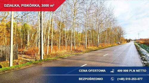 Działka budowlana 3000 m PRZY LESIE   Piskórka, gm. Prażmów