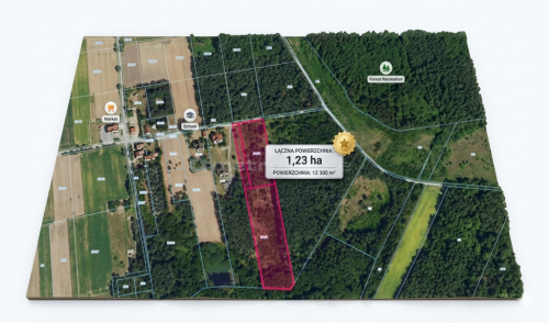 Posiadłość 1,26 ha w Grzegorzewicach