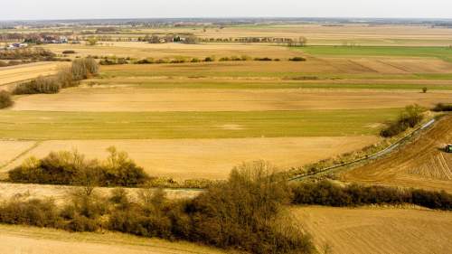 Działka rolna Rząchowa gm. Szczurowa