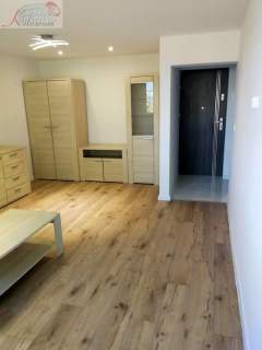Mieszkanie do wynajęcia, 35 m2, Nowy Sącz