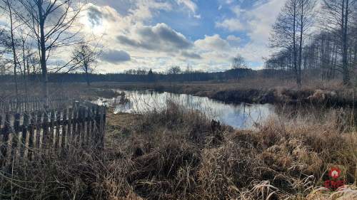 Połowa bliźniaka, Narewka