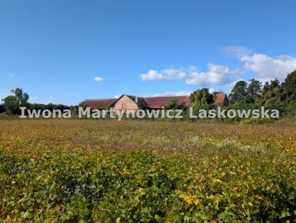 Działka budowlana HALA, 10 km od Lubina