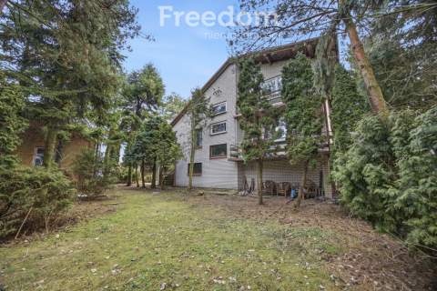 11 ha w Korytnie gm. Masłowice