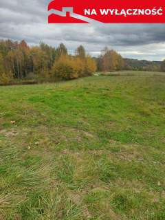 Działka budowlana 36 ar, Tuchów Okazyjna cena