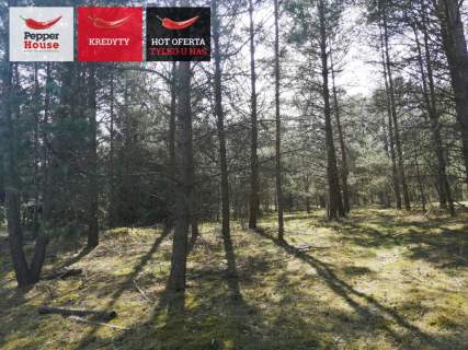 Działka budowlana nad rzeką linia brzegowa las WZ