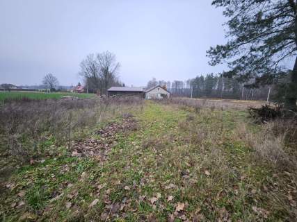 Działka 5900m2, z domem zalesiona