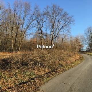 Leksandrowa-działka na sprzedaż